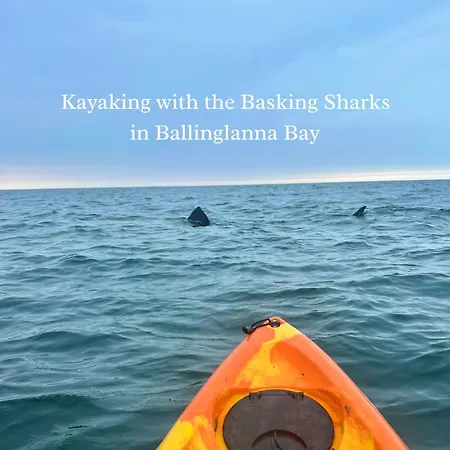 Seaview Retreat & Sauna At An Acre By The Sea Feriehus *