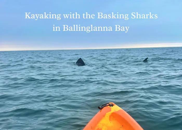 Seaview Retreat & Sauna At An Acre By The Sea בית נופש *